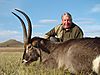 Waterbuck19.JPG