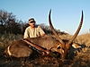 Waterbuck26.JPG