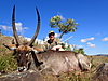 Waterbuck27.jpg