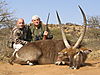 Waterbuck_-_Raul_Tomas.JPG