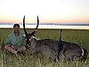 Waterbuck_003.JPG