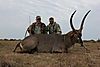 Waterbuck_Hunt_002.jpg