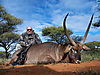 Waterbuck_JUAN_Suberville_.JPG