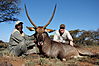 Waterbuck_Jon_Clement_.JPG