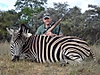 Zebra_2010.JPG