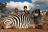 Zebra_Burchell_Tom_St_John.JPG