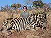 Zebra_Burchells_-_Sarah_Sackman.JPG