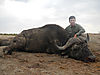 Zimbabwe_2012_1st_Buffalo.JPG