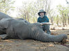 Zimbabwe_2012_3rd_Elephant.JPG