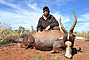 a-record-book-common-blesbuck-for-maxi.jpg