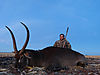 anthony-waterbuck.jpg