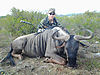 big-blue-wildebeest-bull.jpg