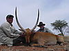 big-red-lechwe.jpg