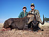 black-wildebeest-hunt.jpg