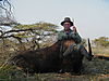 black_wildebeest_11.jpg