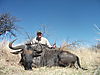 blue-wildebeest-031.JPG