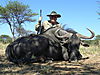 blue-wildebeest-05.JPG