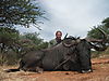 blue-wildebeest13.JPG