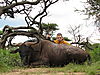 blue-wildebeest3.JPG