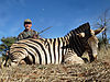 brain-burchell-zebra.jpg