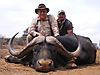 buffalo-bull-40-inches.jpg