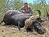 buffalo-hunt3.jpg