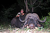 buffalo-hunting5.jpg