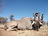 cape_eland_47.JPG