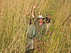 chasse-tanzanie.jpg