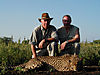 cheetah_hunting-02.jpg