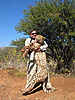 cheetah_hunting-11.jpg