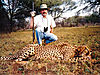 cheetah_hunting-15.jpg