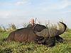 chobe_flood_plains_buffalo_3_.JPG