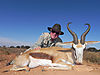 common-springbok.jpg