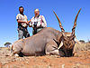 eland-bull1.jpg