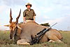 eland3.jpeg