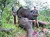 elephant-hunting-cartridges-01.jpg