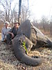 elephant-hunting-cartridges-06.jpg