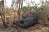 elephant-hunting-cartridges-08.jpg