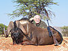 garrick-mishaga-black-wildebeest.jpg