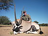 gemsbok-013.JPG