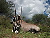 gemsbok-014.jpg