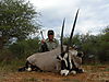 gemsbok-021.JPG