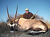 gemsbok-031.JPG