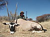 gemsbok19.jpg