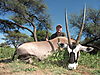 gemsbok25.JPG