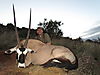 gemsbok_7_.JPG