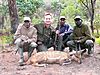 harnessed-bushbuck-23.JPG