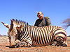 hartmans-mountain-zebra.jpg