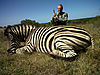 huge-burchell-zebra.jpg